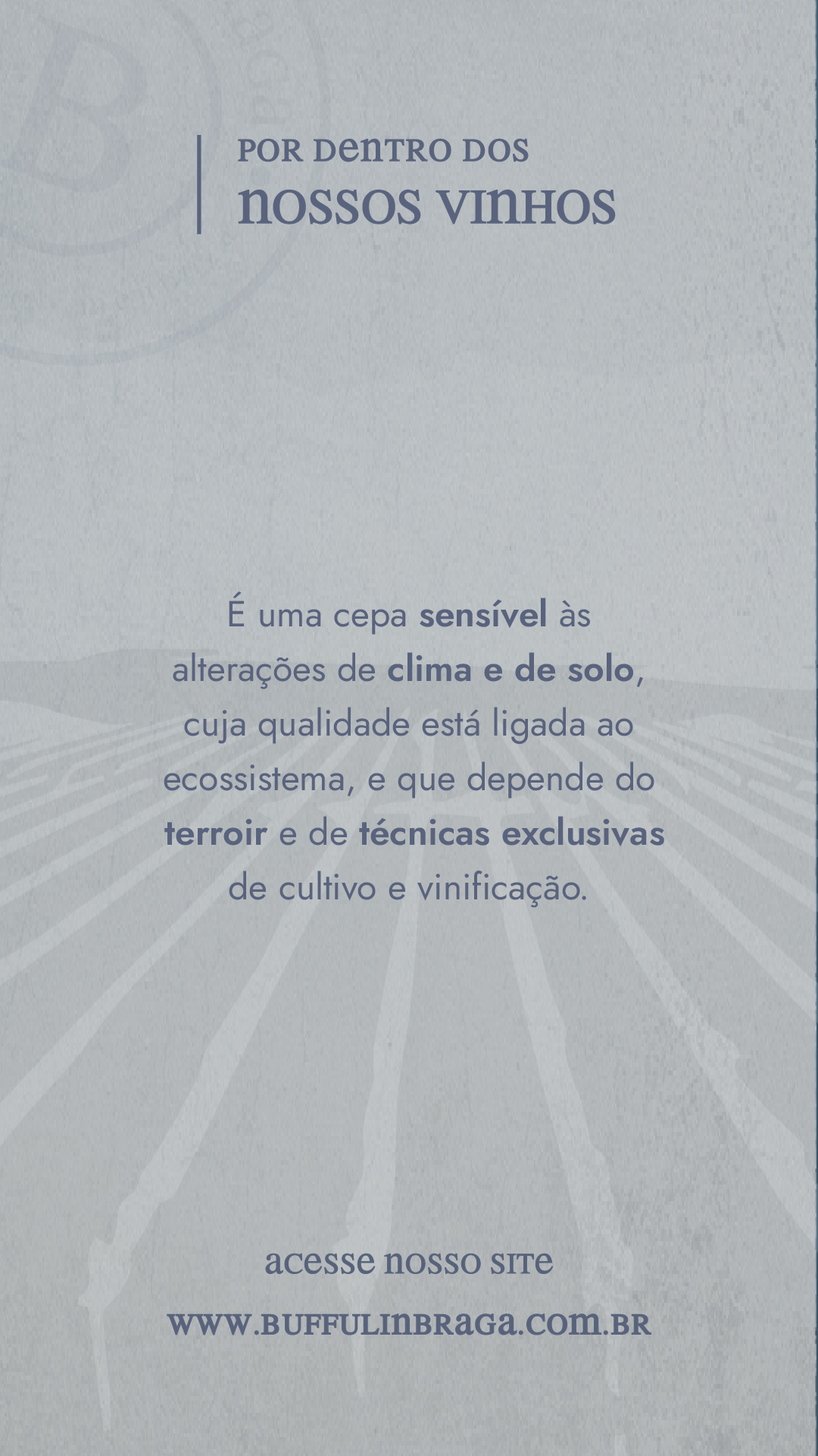 Prancheta 9 cópia 2
