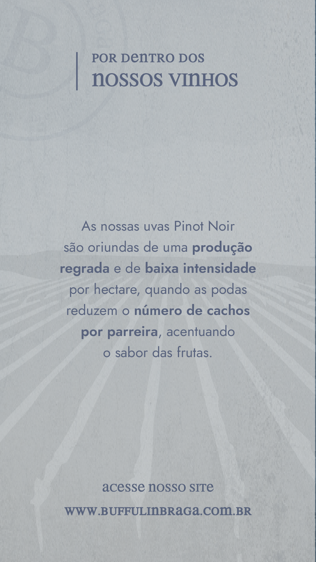 Prancheta 9 cópia 3